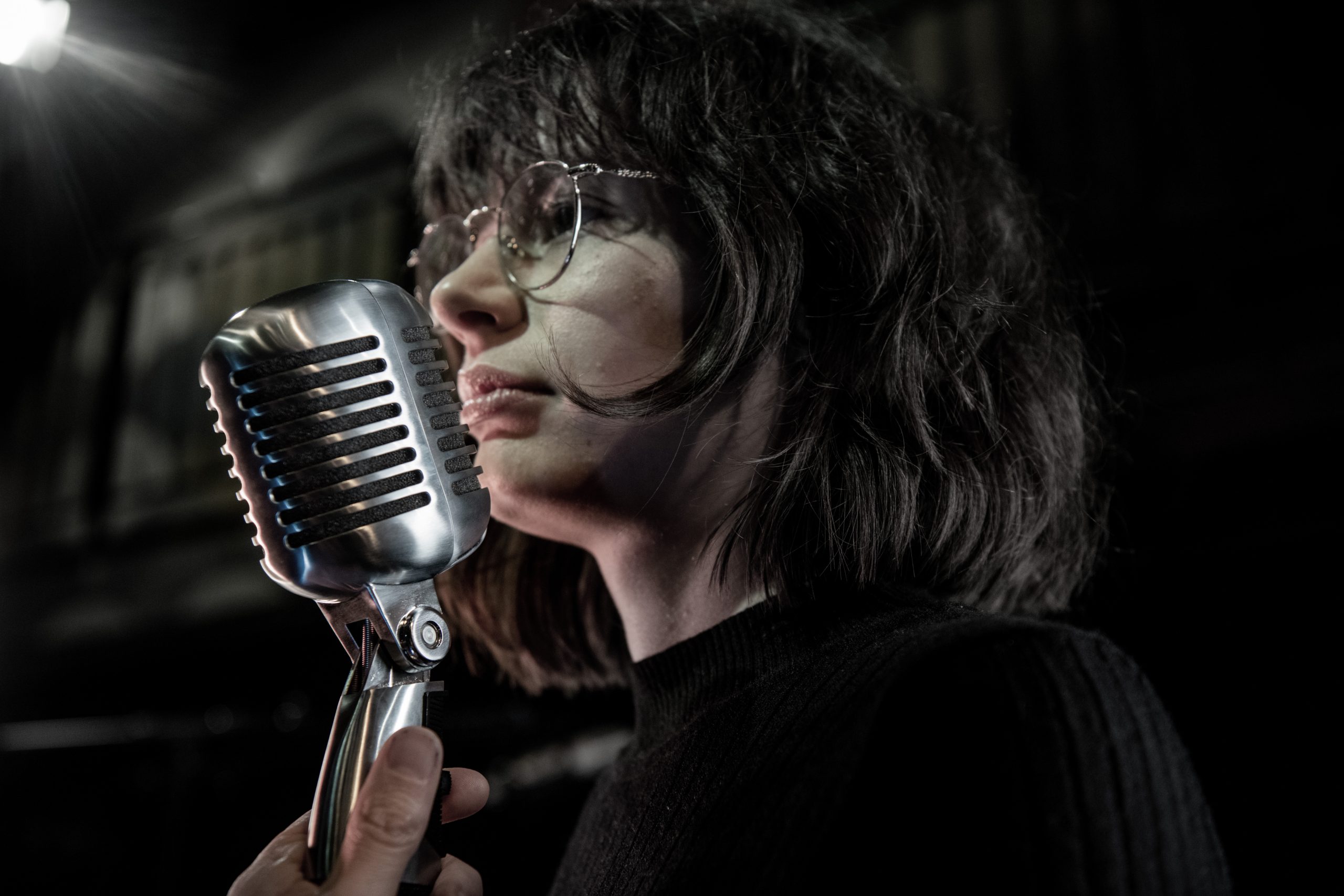 Shure 55SH Series II Microphone | Cardioid | 55SH SERIES II - Image 2